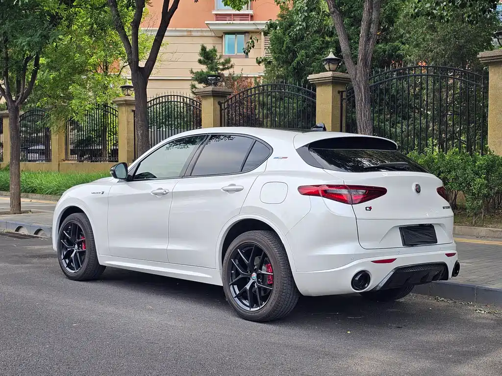Alfa Romeo Stelvio 2022 — фото 4
