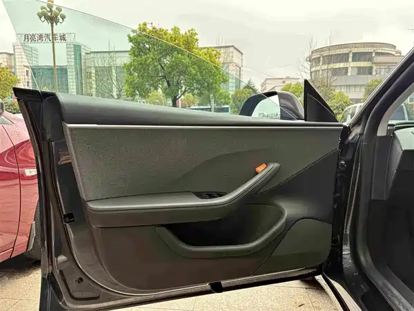 Tesla Model 3 2025