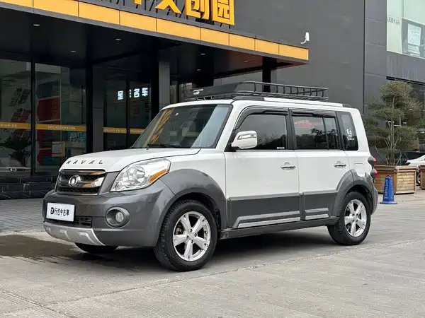 Great Wall M2 2013