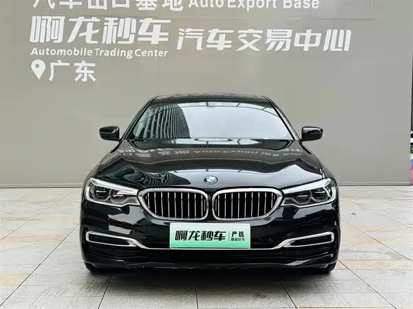 BMW 5 Series New Energy 2019