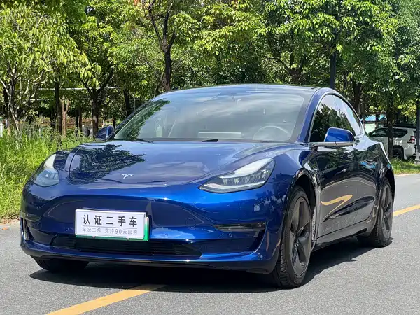 Tesla Model 3 2020