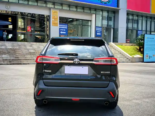 Toyota Wildlander 2022
