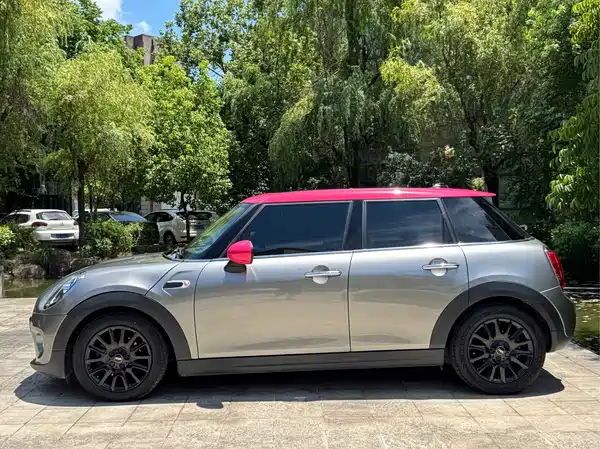 MINI 2019