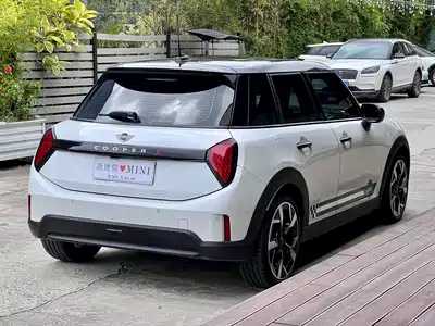 MINI MINI 2025