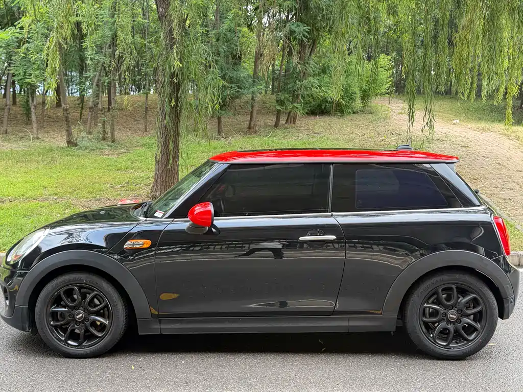 MINI MINI 2015