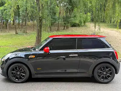 MINI MINI 2015