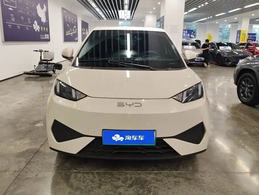 BYD Seagull 2025