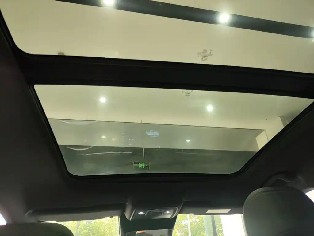 BYD Song Pro New Energy 2025 — фото 18