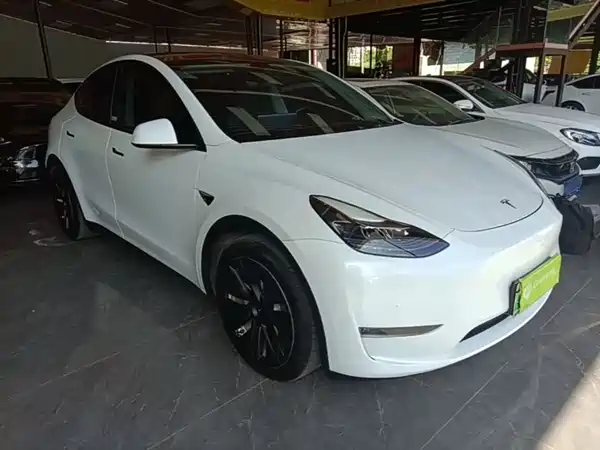 Tesla Model Y 2021