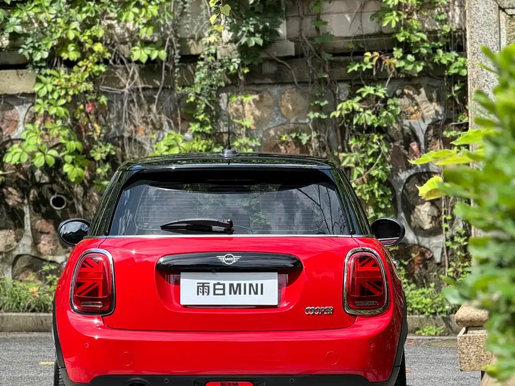 MINI MINI 2019