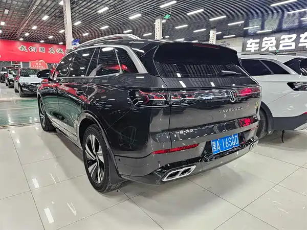 Volkswagen Tavendor 2024