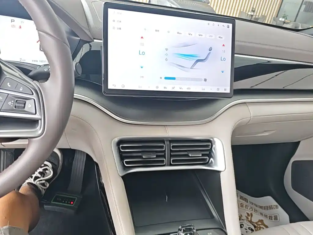 BYD Song PLUS New Energy 2025 — фото 13