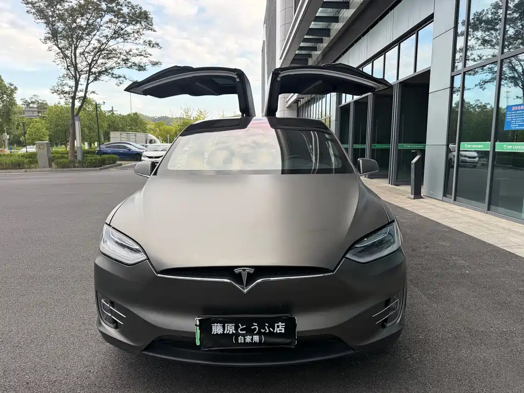 Tesla Model X 2020 — фото 2