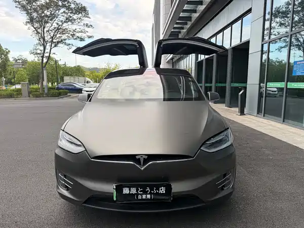 Tesla Model X 2020