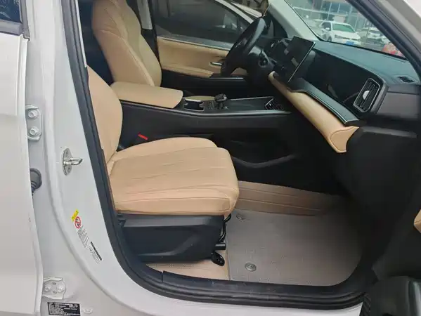 BYD Song Pro New Energy 2025