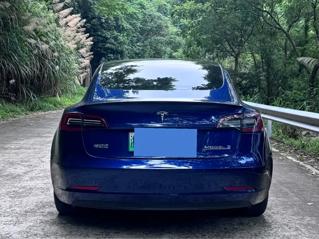 Tesla Model 3 2021