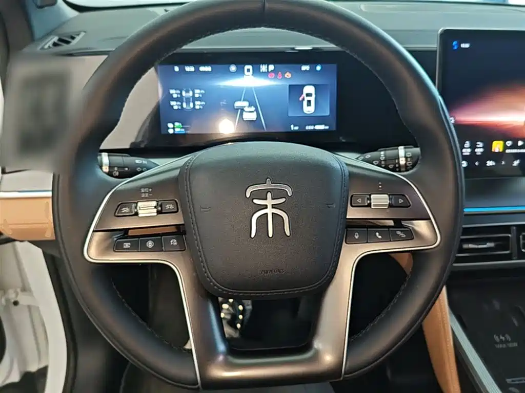 BYD L DM-i 2024 — фото 11