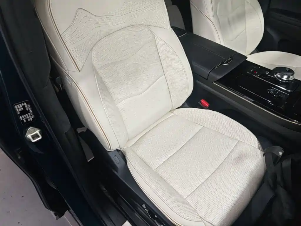 GAC Motor Trumpchi M8 2023 — фото 25
