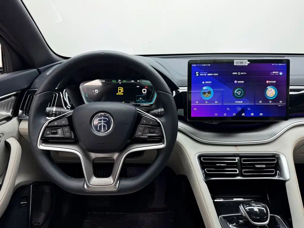 BYD PLUS New Energy 2023 — фото 13
