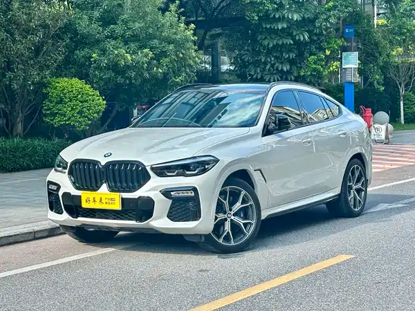 BMW X6 2021