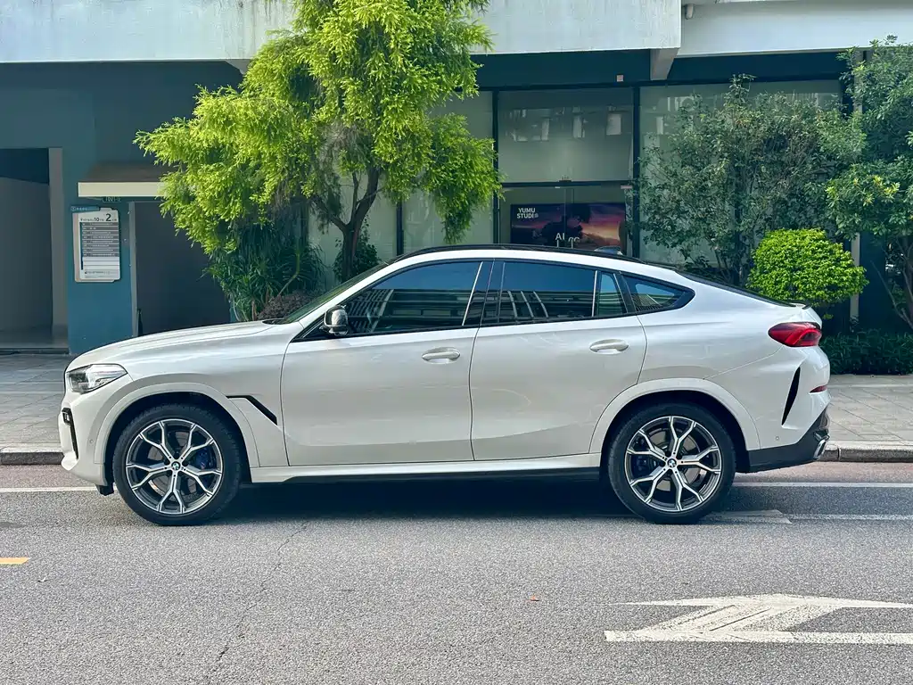 BMW X6 2021 — фото 3