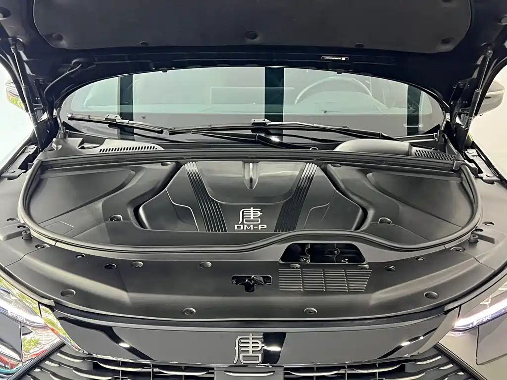 BYD Tang New Energy 2023