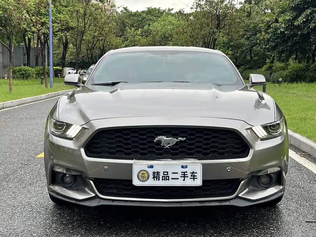 Ford Mustang 2015 — фото 3