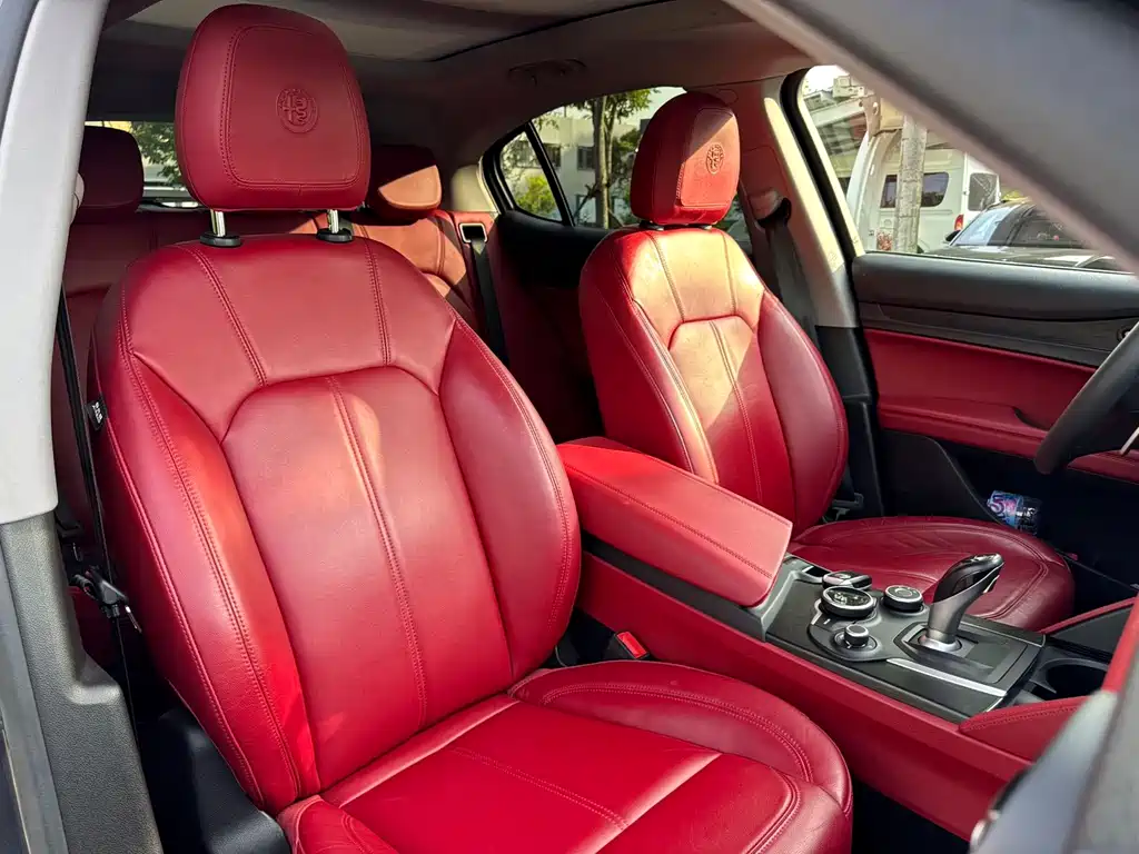 Alfa Romeo Stelvio 2019 — фото 21