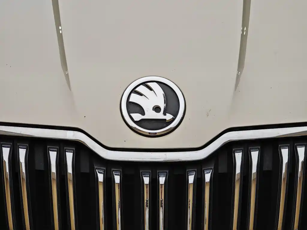 Skoda Kodiaq 2017 — фото 3