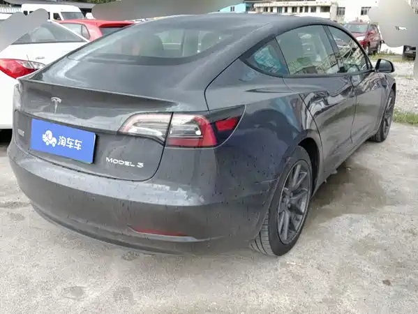 Tesla Model 3 2021