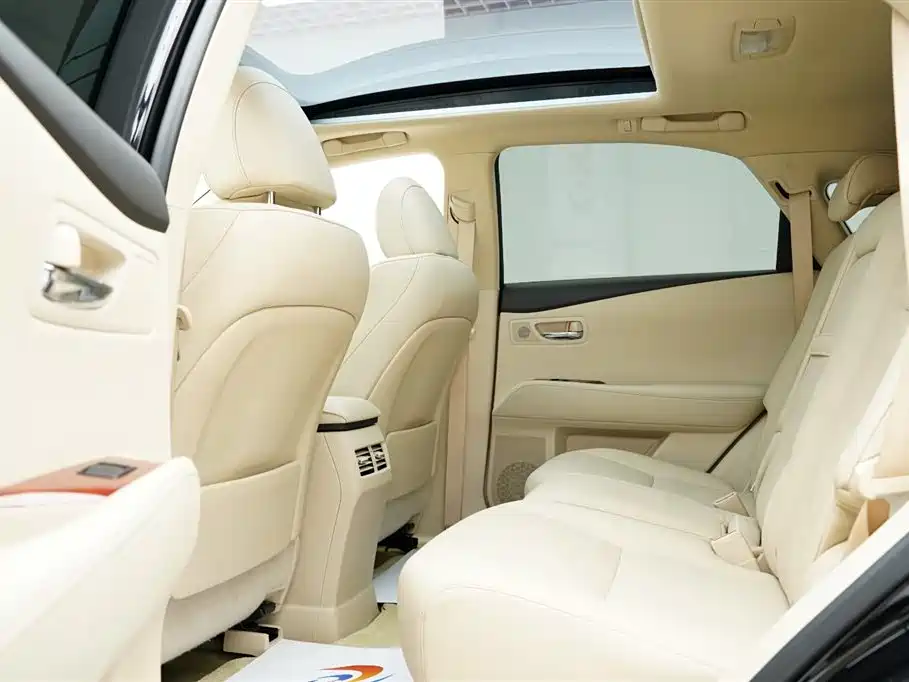 Lexus RX Classic 2009 — фото 15