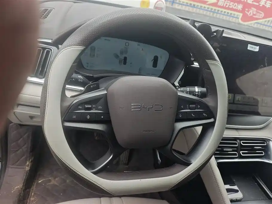 BYD PLUS New Energy 2025 — фото 15