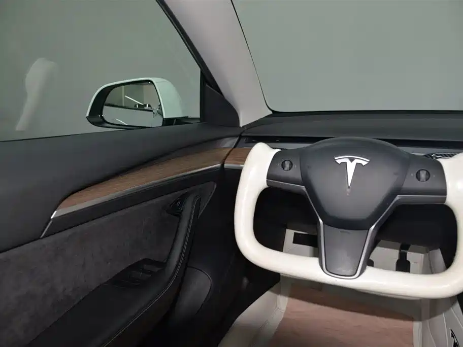 Tesla Model 3 2021 — фото 14