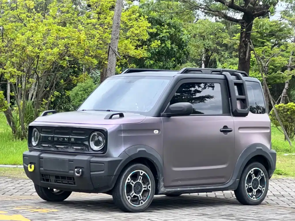 Geely Galaxy Panda 2024