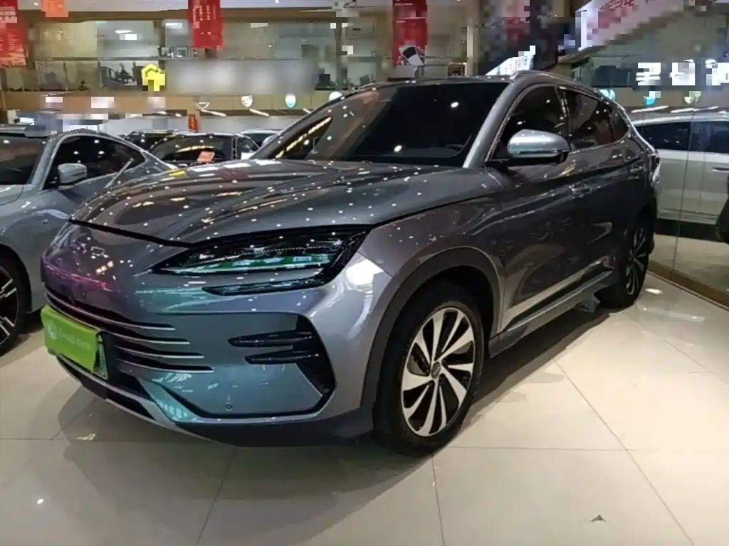 BYD PLUS New Energy 2024 — фото 2