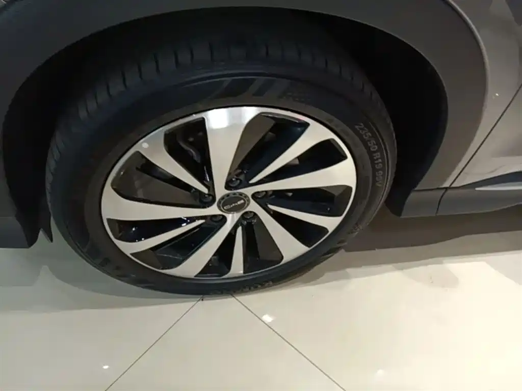 BYD PLUS New Energy 2024 — фото 23