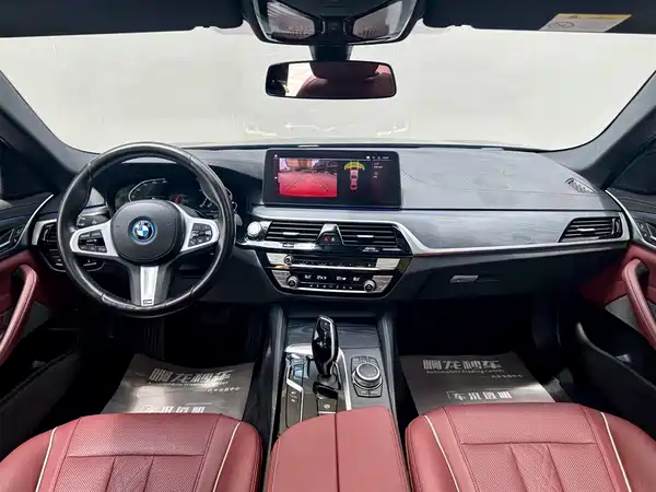BMW 5 Series New Energy 2022