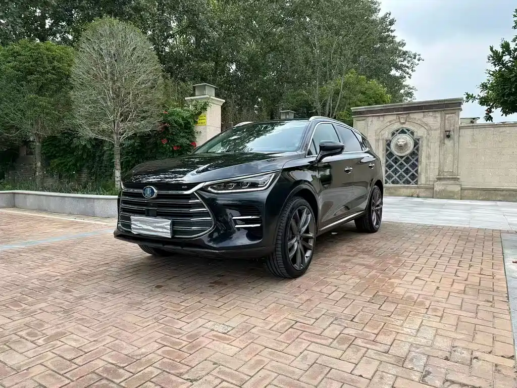 BYD Tang New Energy 2019 — фото 1