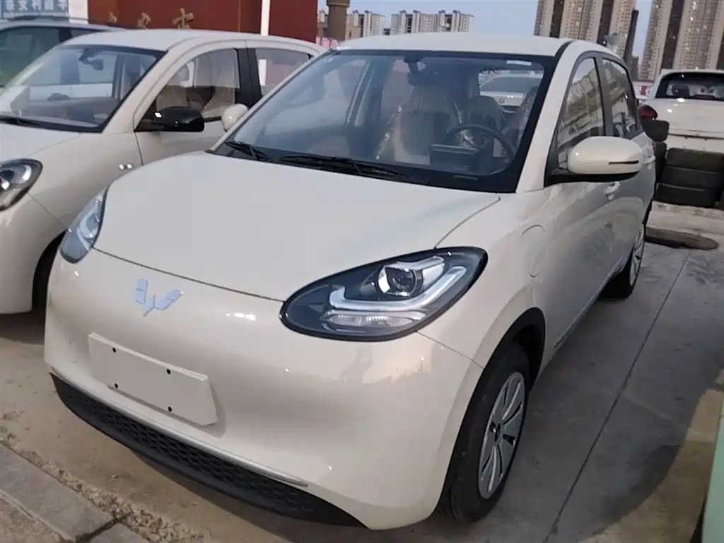 Wuling Bingo 2024