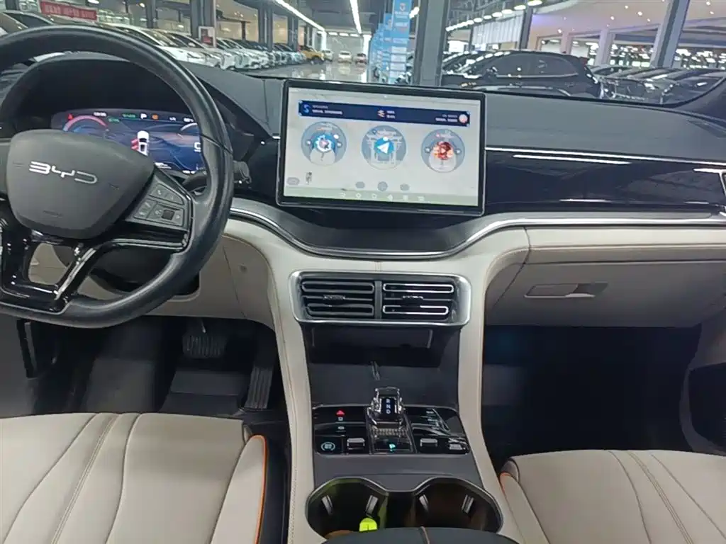 BYD PLUS New Energy 2024 — фото 13