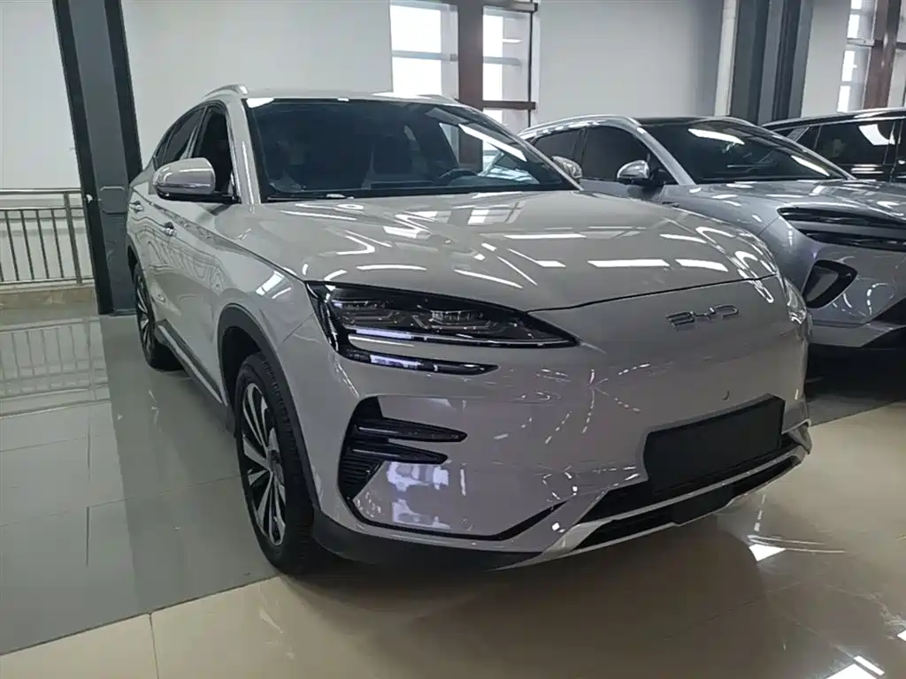 BYD PLUS New Energy 2024 — фото 4