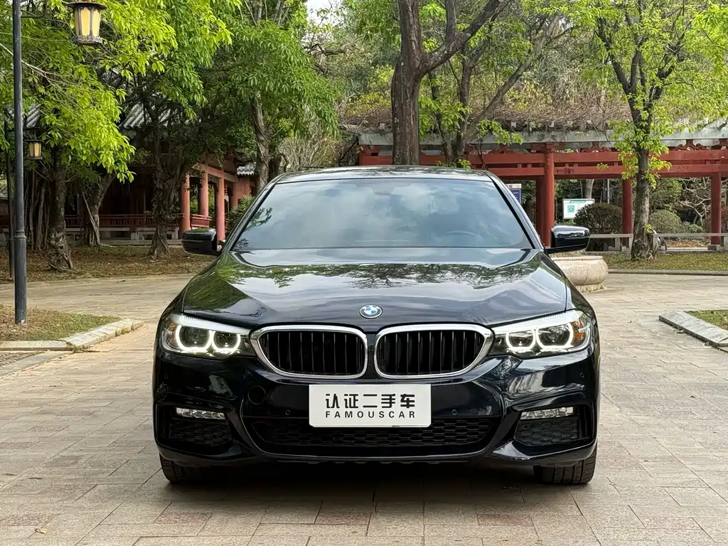 BMW 5 Series 2017 — фото 2