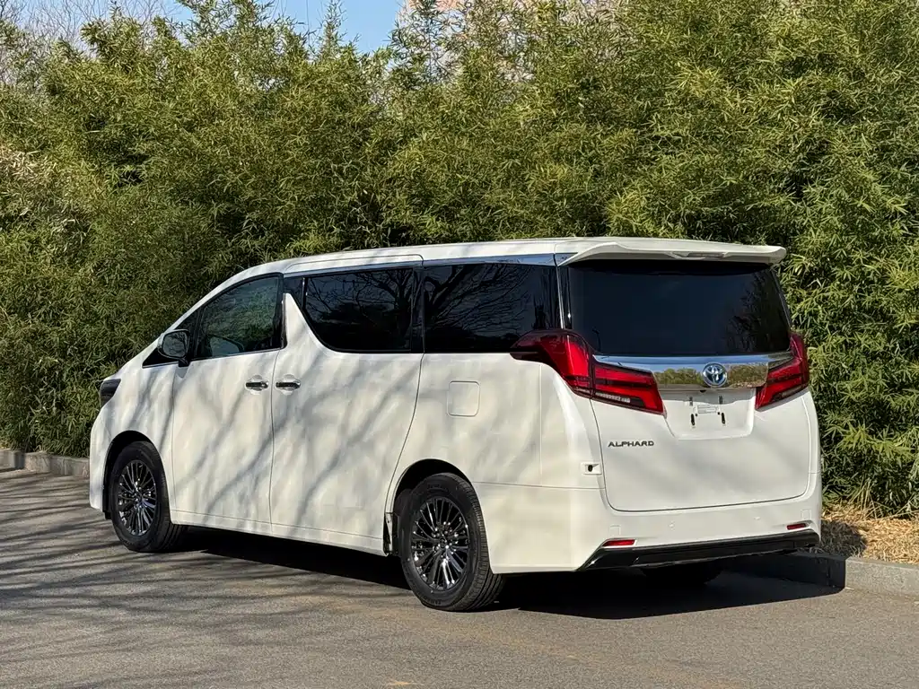 Toyota Alphard 2019 — фото 14