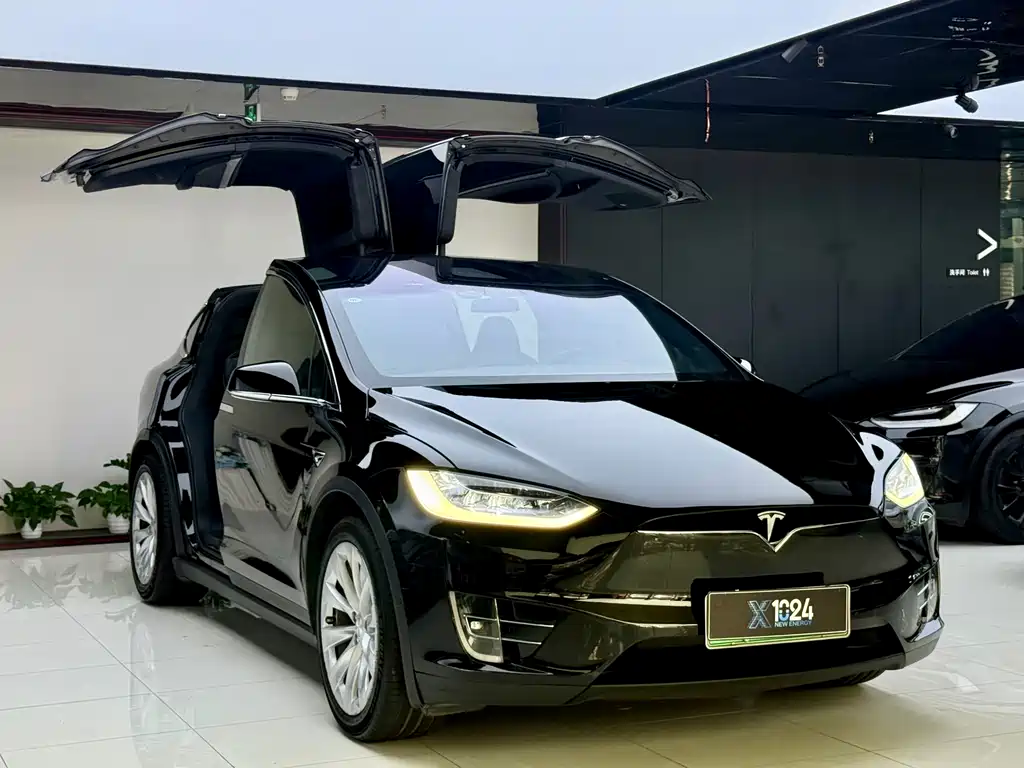 Tesla Model X 2019 — фото 3