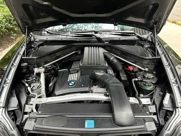 BMW X5 2010