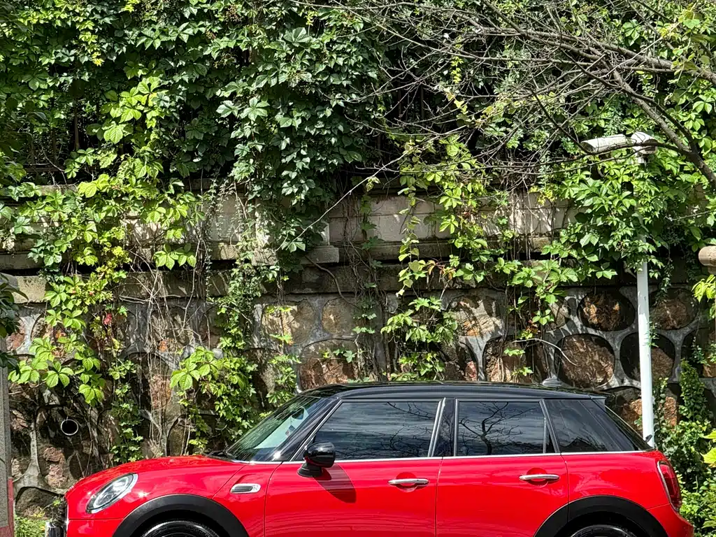 MINI MINI 2019