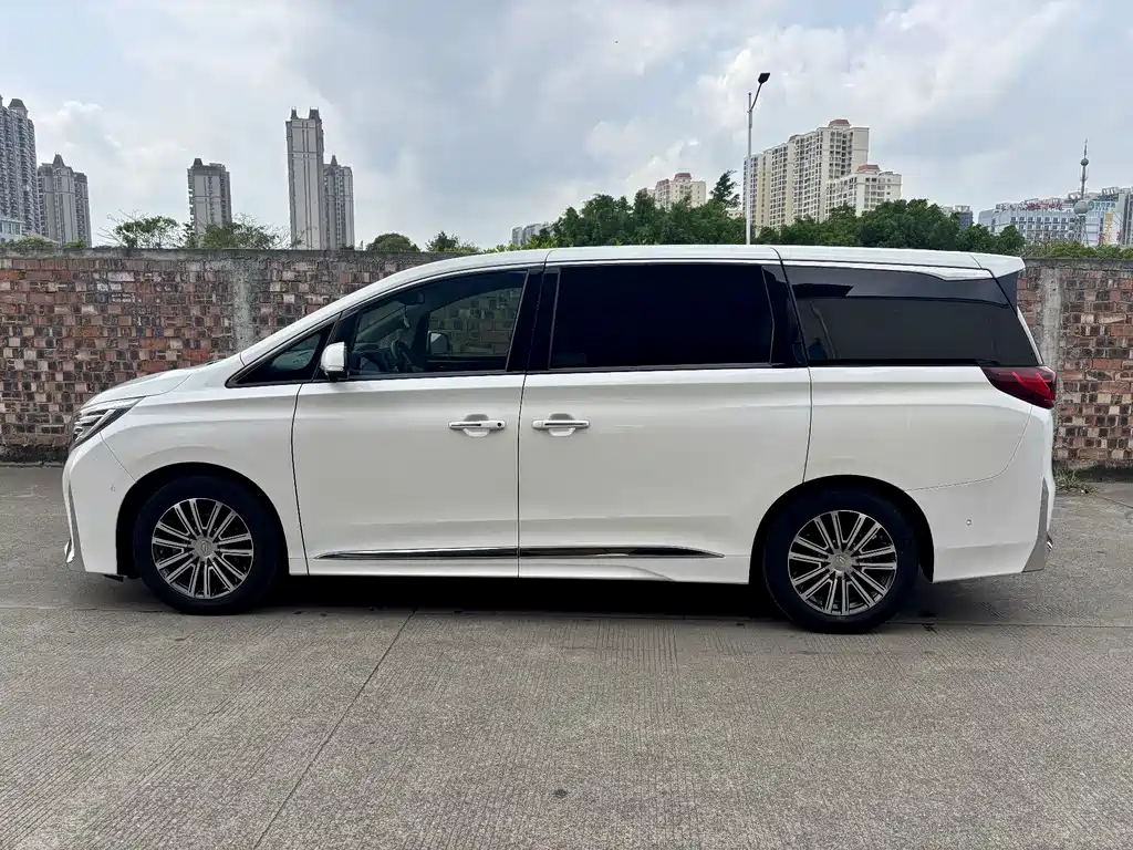 GAC Motor Trumpchi M8 2021 — фото 7