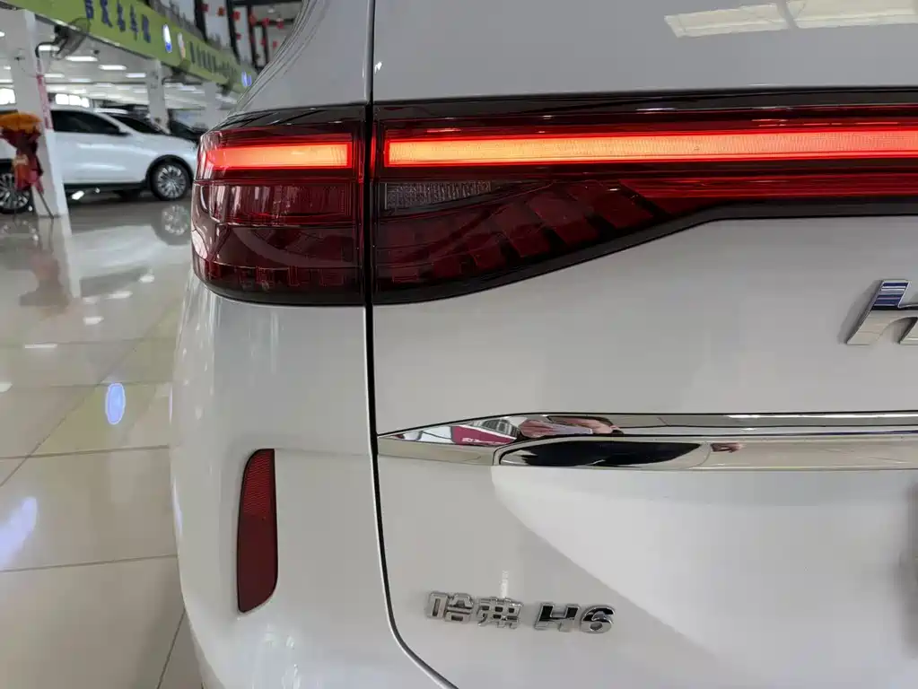 Haval H6 2021 — фото 12