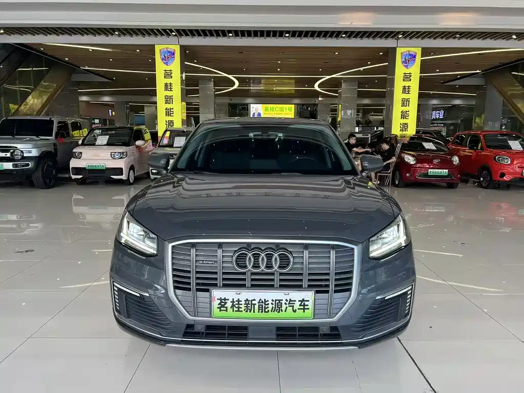 Audi Q2L E-Tron 2021