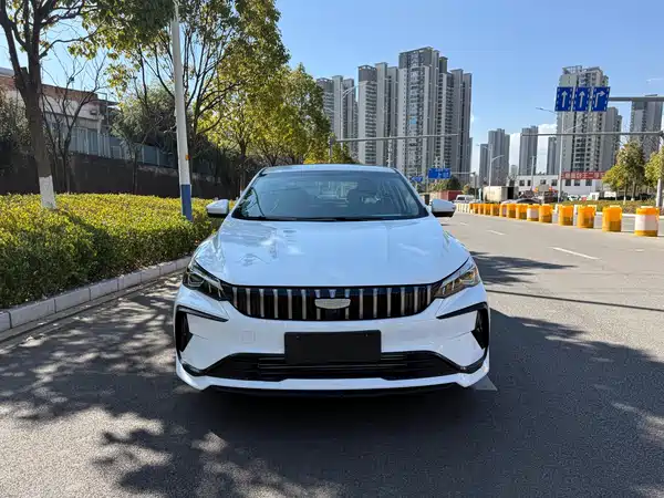 Geely Binrui 2024